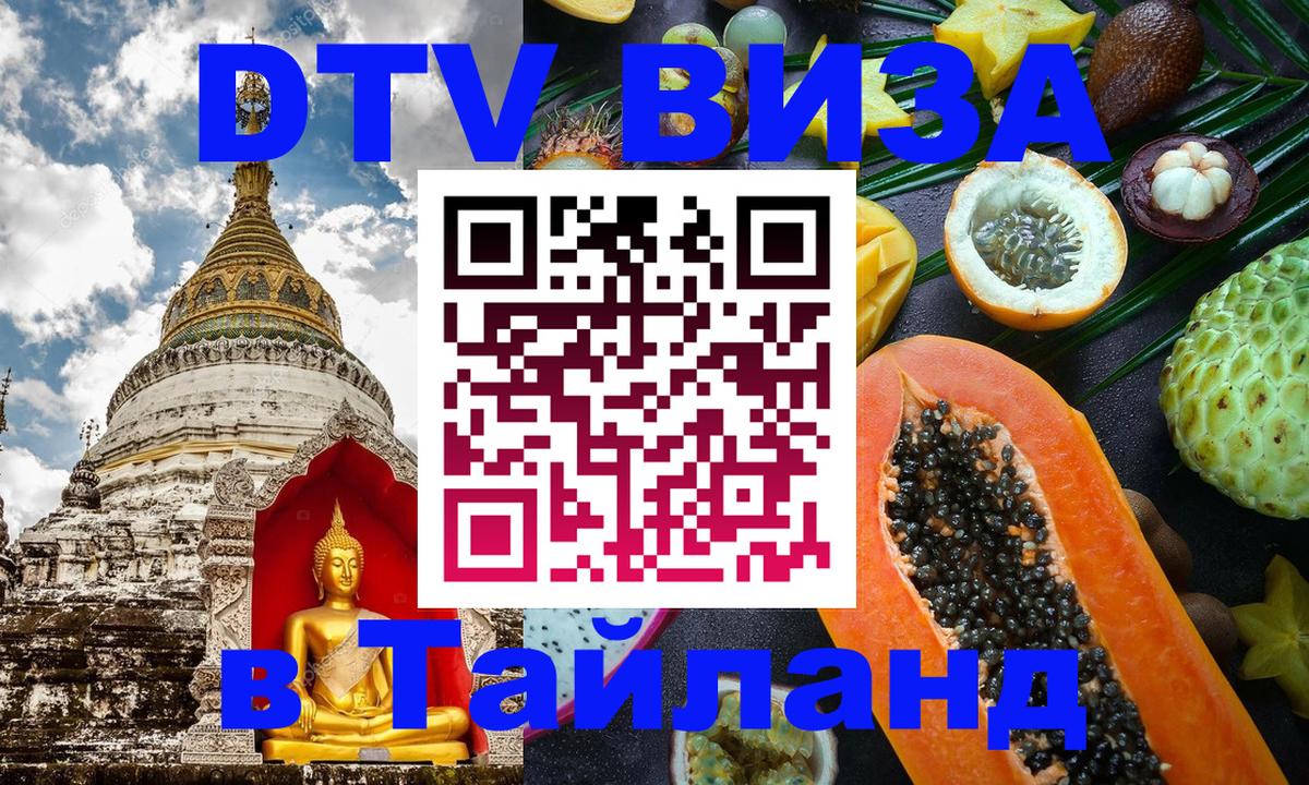 Сколько стоит DTV виза — актуальные цены, оформление даже без документов - Веллингтон 